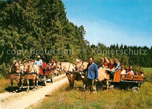 Grafenhausen schwarzwald - grafenhausen,