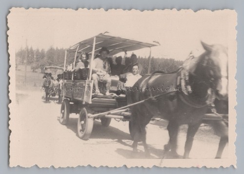 Rennsteig express - express, am