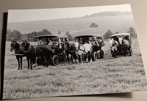 Altes foto vintage - altes,