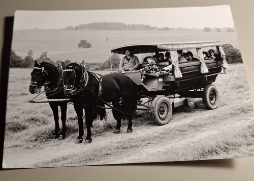 Altes foto vintage - altes,