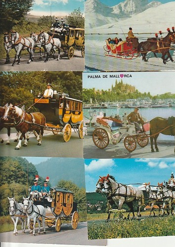 Pferd pferde mit schlitten - ,,