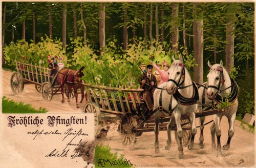 Pfingsten pferde kutschen - pfingsten,,
