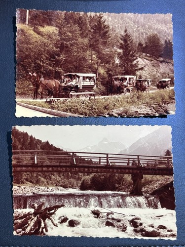 Foto set 2 oberstdorf - 🐴,