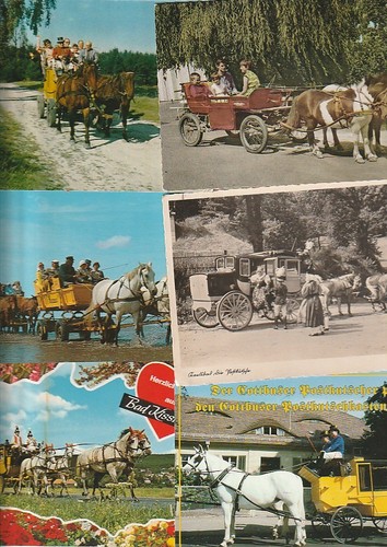 Pferde kutschen schlitten - pferde,