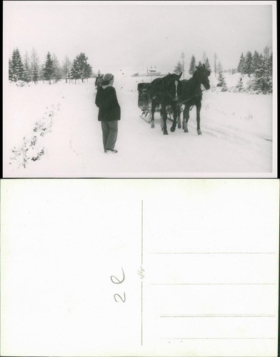 Pferdeschlitten/Pferdekutschen
