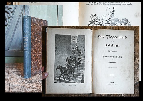 1889 pferde kutschen - 1889,