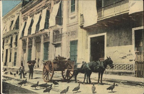Pferdekutschen mexico - pferdekutschen,