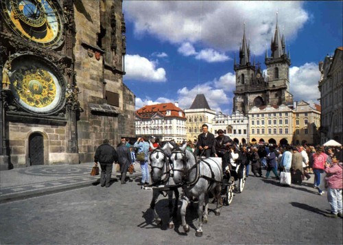 Pferde kutsche fuhrwerk - kutsche,